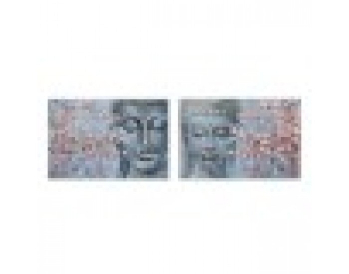 Пластно DKD Home Decor Буда Ориенталски (120 x 2,8 x 80 cm) (2 броя)