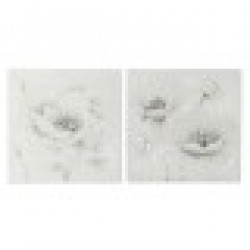 Картина Home ESPRIT Shabby Chic 80 x 3 x 80 cm (2 броя) - Tablouri, postere, puzzle-uri