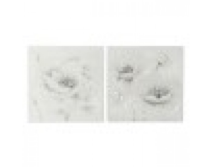 Картина Home ESPRIT Shabby Chic 80 x 3 x 80 cm (2 броя)