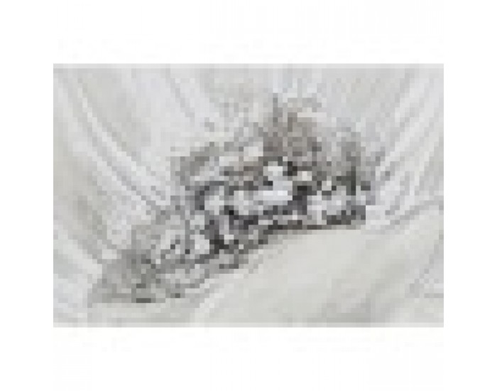 Картина Home ESPRIT Shabby Chic 80 x 3 x 80 cm (2 броя)