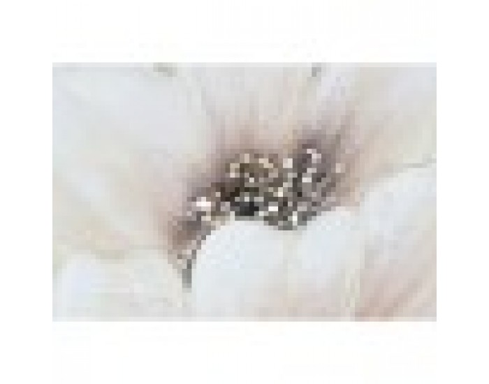 Картина Home ESPRIT Shabby Chic 80 x 3 x 80 cm (2 броя)