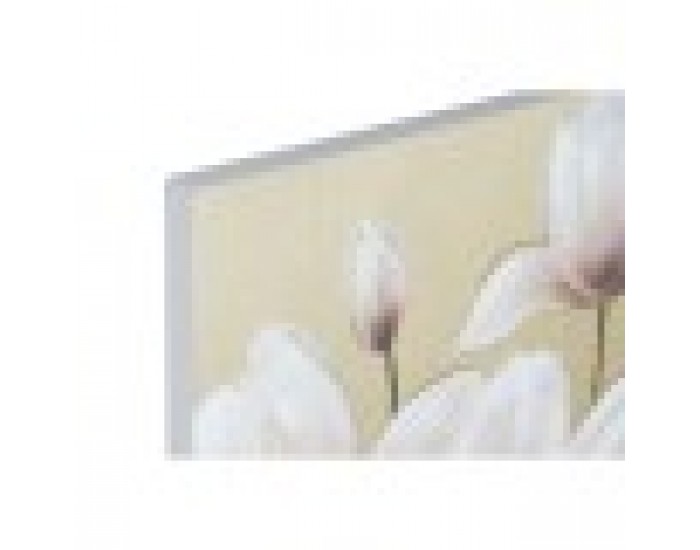 Картина Home ESPRIT Shabby Chic 80 x 3 x 80 cm (2 броя)