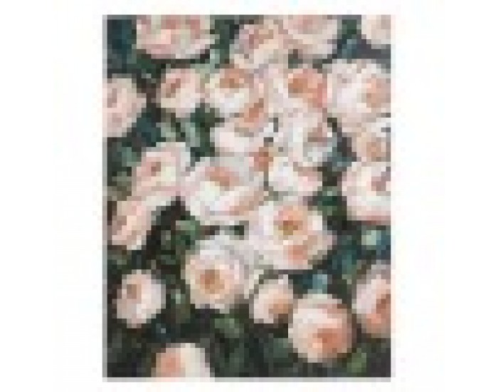 Маслена картина Roses Бор (80 X 4 x 100 cm)