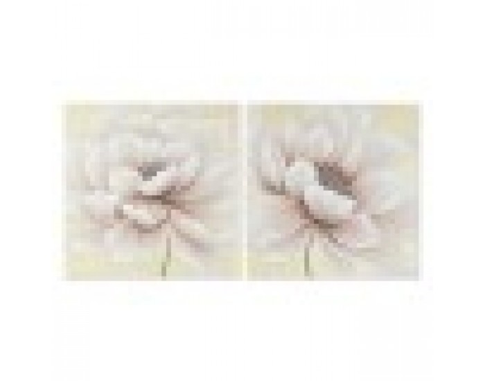 Картина Home ESPRIT Shabby Chic Мак 80 x 3 x 80 cm (2 броя)