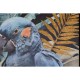 Картина Home ESPRIT Папагал Тропически Лакиран 50 x 3,5 x 70 cm (2 броя)