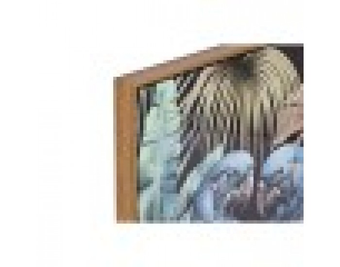 Картина Home ESPRIT Папагал Тропически Лакиран 50 x 3,5 x 70 cm (2 броя)