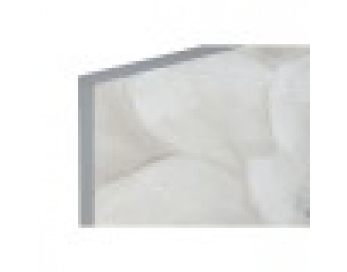 Картина Home ESPRIT Shabby Chic Мак 120 x 3 x 60 cm (2 броя)