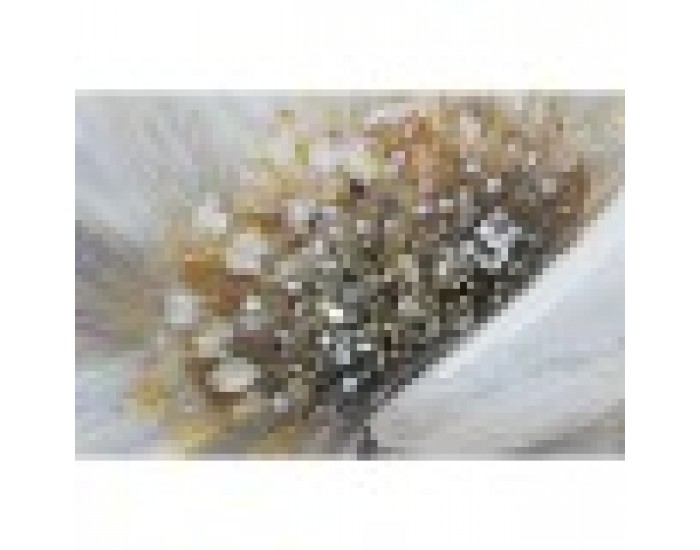 Картина Home ESPRIT Shabby Chic Мак 120 x 3 x 60 cm (2 броя)