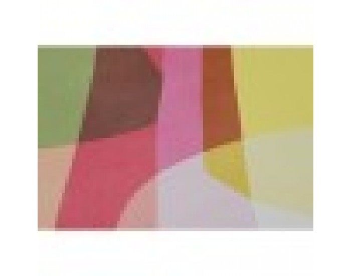 Картина Home ESPRIT Модерен 63 x 3 x 83 cm (2 броя)