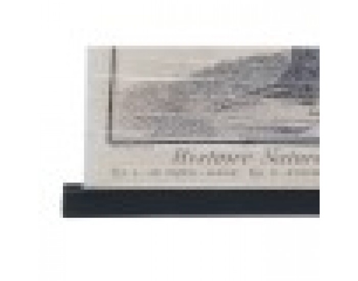 Пластно DKD Home Decor Птици (4 pcs) (60 x 2 x 90 cm)