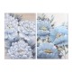 Картина Home ESPRIT романтичен 80 x 3 x 120 cm (2 броя)