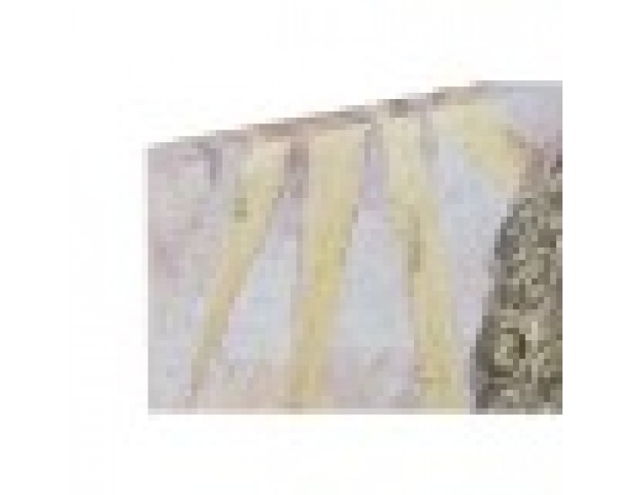Картина Home ESPRIT Буда Ориенталски 120 x 3 x 80 cm (2 броя)