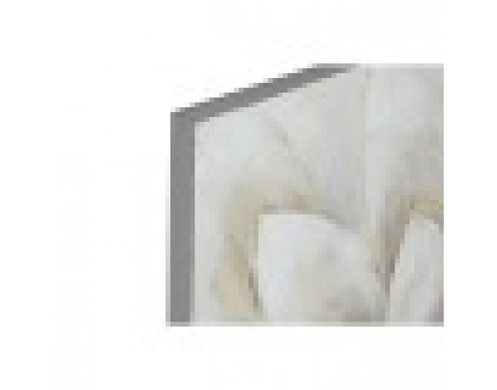 Картина Home ESPRIT Бял Пластно Дървен MDF Цвете романтичен 80 x 3 x 80 cm (2 броя)