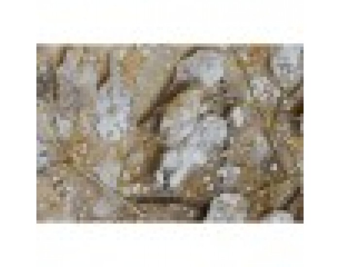 Картина Home ESPRIT Златен Пластно Дървен MDF Дърво Традиционен 80 x 3 x 80 cm (2 броя)