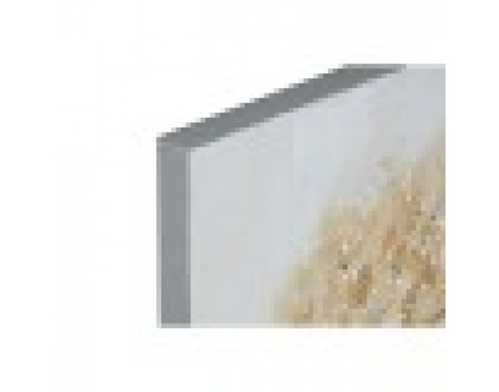 Картина Home ESPRIT Златен Пластно Дървен MDF Дърво Традиционен 80 x 3 x 80 cm (2 броя)