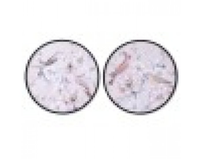Картина DKD Home Decor романтичен Птици (2 броя) (70 x 3 x 70 cm)