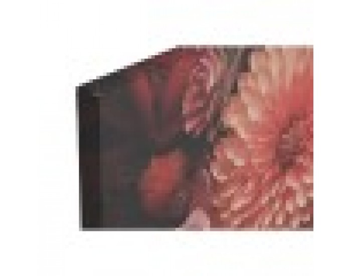 Картина Home ESPRIT Бланка Модерен 120 x 3 x 80 cm (2 броя)