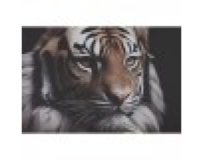 Картина Home ESPRIT Бланка Модерен 80 x 3 x 120 cm (2 броя)