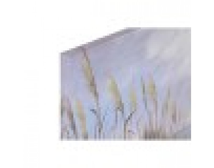 Картина Home ESPRIT Средиземноморско 140 x 3 x 70 cm (2 броя)