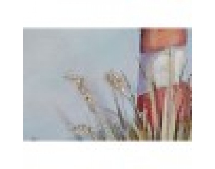 Картина Home ESPRIT Фар Средиземноморско 140 x 3 x 70 cm (2 броя)