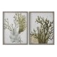 Картина Home ESPRIT Зелен Корал Средиземноморско 45 x 2 x 60 cm (2 броя)