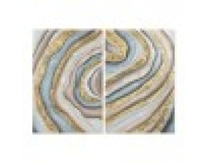 Картина Home ESPRIT Модерен 80 x 3 x 120 cm (2 броя)