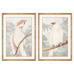 Картина DKD Home Decor Папагал (50 x 2 x 70 cm) (2 pcs) - Tablouri, postere, puzzle-uri