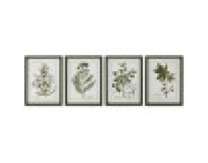 Картина Home ESPRIT Зелен Бежов Shabby Chic Ботанически растения 30 x 2,5 x 40 cm (4 броя)