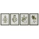 Картина Home ESPRIT Зелен Бежов Shabby Chic Ботанически растения 30 x 2,5 x 40 cm (4 броя)