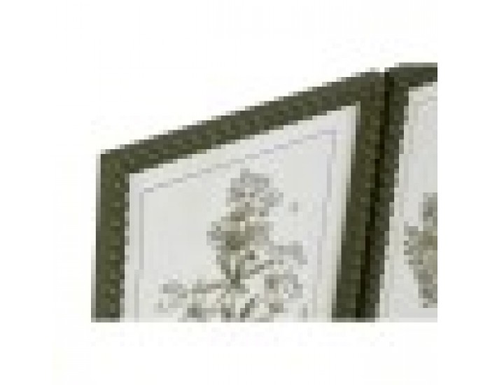 Картина Home ESPRIT Зелен Бежов Shabby Chic Ботанически растения 30 x 2,5 x 40 cm (4 броя)
