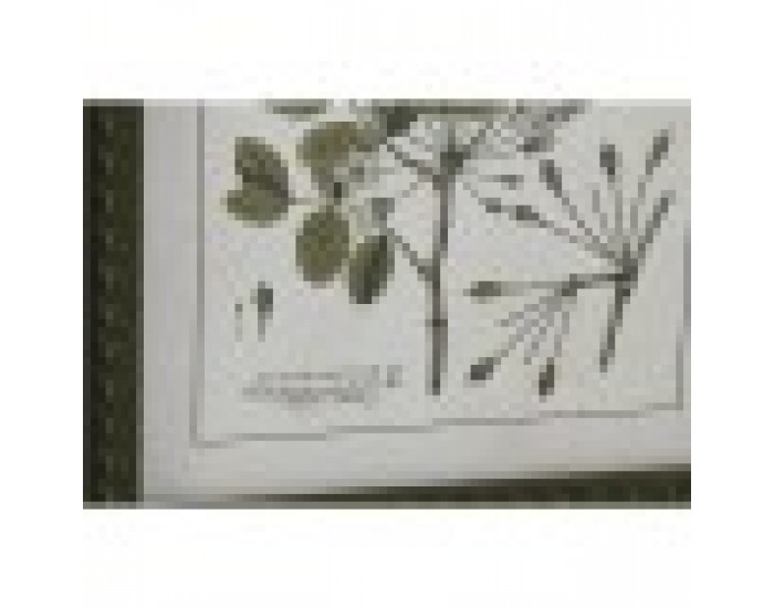 Картина Home ESPRIT Зелен Бежов Shabby Chic Ботанически растения 30 x 2,5 x 40 cm (4 броя)