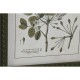 Картина Home ESPRIT Зелен Бежов Shabby Chic Ботанически растения 30 x 2,5 x 40 cm (4 броя)