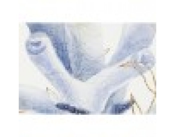 Картина Home ESPRIT Средиземноморско 50 x 2,5 x 70 cm (2 броя)