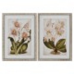 Картина Home ESPRIT Тропически Орхидея 50 x 2,5 x 70 cm (2 броя) - Tablouri, postere, puzzle-uri