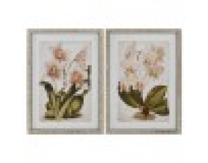 Картина Home ESPRIT Тропически Орхидея 50 x 2,5 x 70 cm (2 броя)