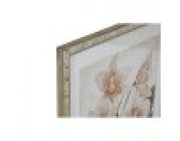 Картина Home ESPRIT Тропически Орхидея 50 x 2,5 x 70 cm (2 броя)