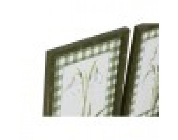 Картина Home ESPRIT Зелен Бежов Shabby Chic Ботанически растения 30 x 2,5 x 40 cm (4 броя)