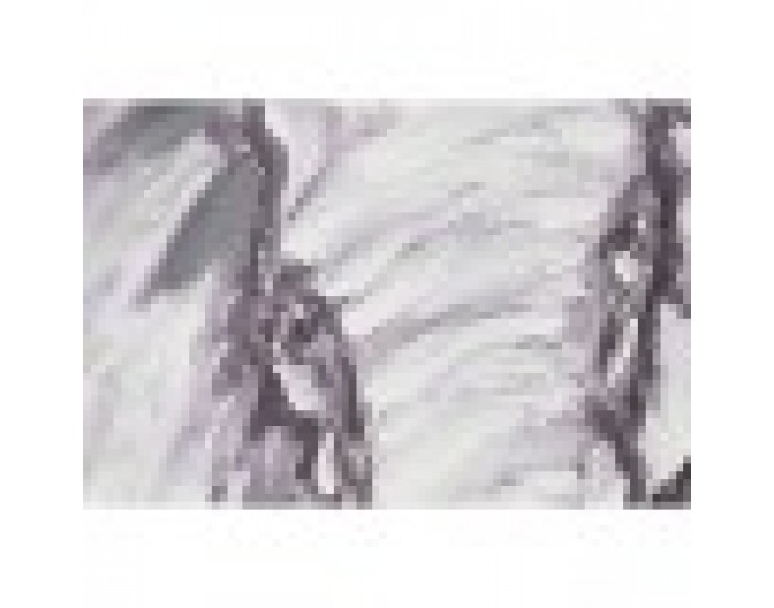 Картина Home ESPRIT Колониален 100 x 3,5 x 100 cm (2 броя)