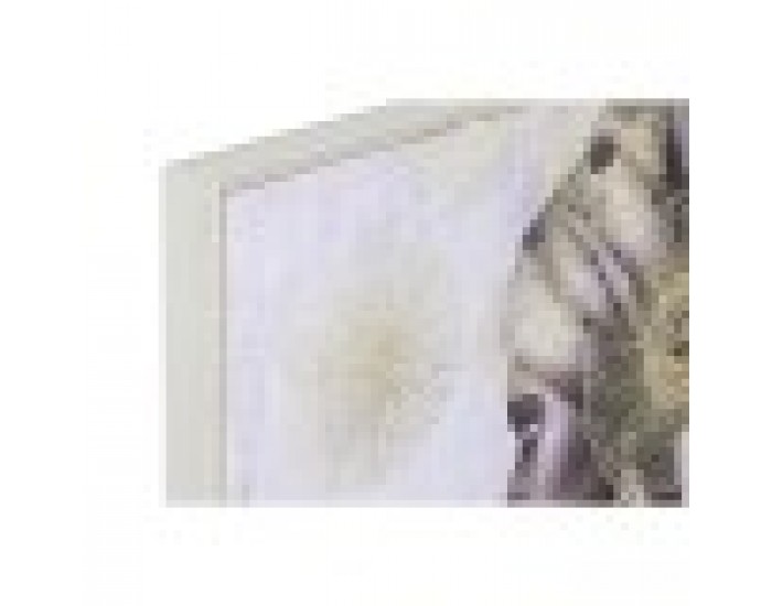 Картина Home ESPRIT Колониален Златен Африканка 80 x 2,8 x 80 cm (2 броя)