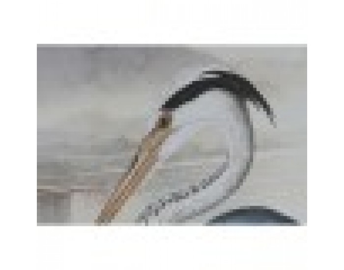 Картина Home ESPRIT Син Бял Птици Ориенталски 50 x 2,5 x 70 cm (2 броя)