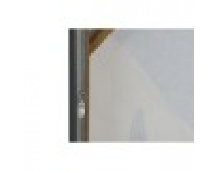 Картина Home ESPRIT Бял Черен Бежов Лист на растение Град 63 x 4,3 x 93 cm (2 броя)