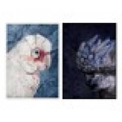 Картина DKD Home Decor Папагал (2 pcs) (83 x 4.5 x 123 cm) - Tablouri, postere, puzzle-uri