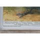 Картина DKD Home Decor Птици (45 x 2 x 65 cm) (4 pcs)