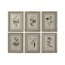 Картина Home ESPRIT Shabby Chic Ботанически растения 30 x 2 x 40 cm (6 броя) - Tablouri, postere, puzzle-uri