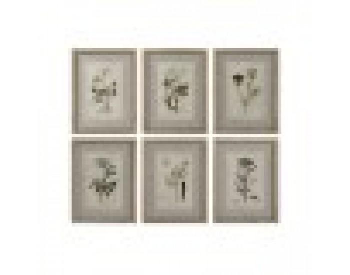 Картина Home ESPRIT Shabby Chic Ботанически растения 30 x 2 x 40 cm (6 броя)