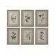 Картина Home ESPRIT Shabby Chic Ботанически растения 30 x 2 x 40 cm (6 броя)