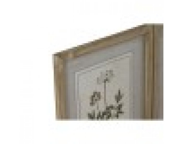 Картина Home ESPRIT Shabby Chic Ботанически растения 30 x 2 x 40 cm (6 броя)