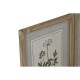 Картина Home ESPRIT Shabby Chic Ботанически растения 30 x 2 x 40 cm (6 броя)