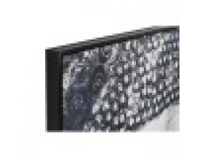 Картина Home ESPRIT Буда Ориенталски 83 x 4,5 x 123 cm (2 броя)