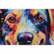 Картина Home ESPRIT Модерен Куче 80 x 3 x 80 cm (2 броя)